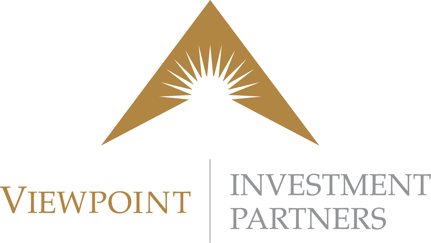 Viewpoint Investment Partners logo